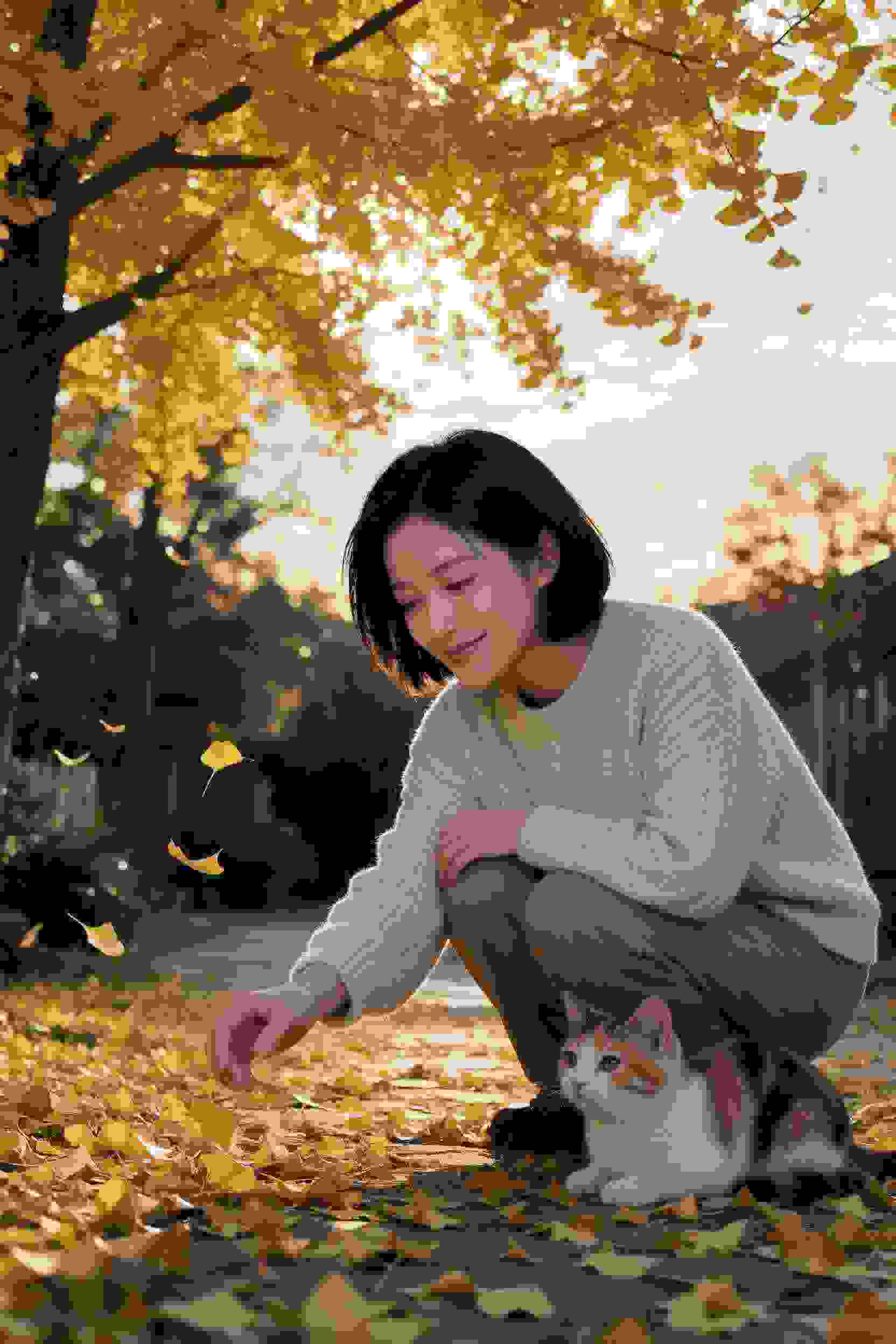 国产动画